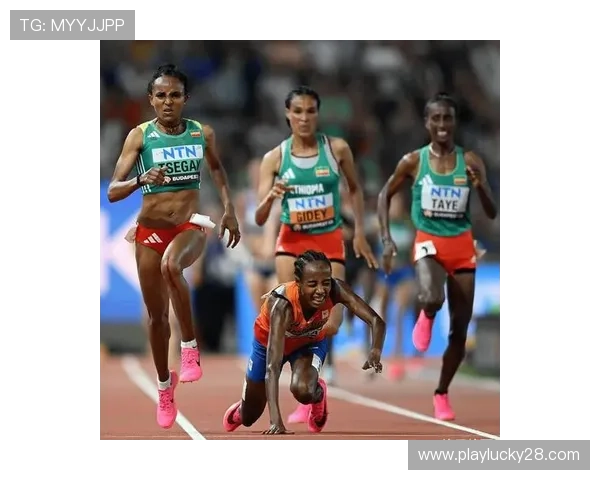 纽约马拉松女子阵容星光熠熠，三位前冠军与哈桑同场竞技